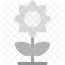 Sunflower Flowering Plant Icon