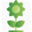 Sunflower Flowering Plant Icon