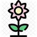 Sunflower Flowering Plant Icon