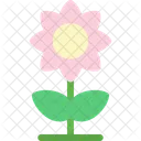 Sunflower Flowering Plant Icon