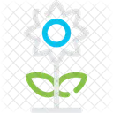 Sunflower Flowering Plant Icon
