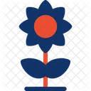 Sunflower Flowering Plant Icon