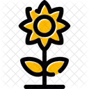 Sunflower Flowering Plant Icon