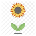 Sunflower Leaves Farm Flower Icon