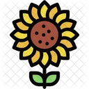 Sunflower Summer Flower Icon