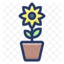 Sunflower  Icon