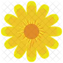 Sunflower  Icon