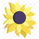 Sunflower Flower Flowers Icon