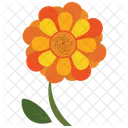 Sunflower Leaf  Icon