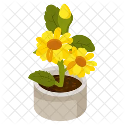 Sunflower Pot  Icon