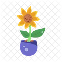 Helianthus Sunflower Pot Houseplant Icon