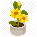 Sunflower Pot  Icon