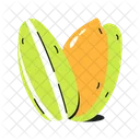 Sunflower Kernel Sunflower Seed Dried Seed Icon