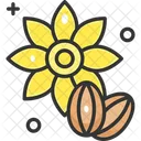 Sunflower Seeds  Icon