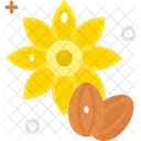 Sunflower Seeds  Icône