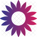 Sunflower With Out Branch  Icon