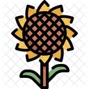 Sunflowers Flower Blossom Icon