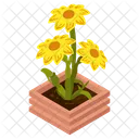 Sunflowers  Icon
