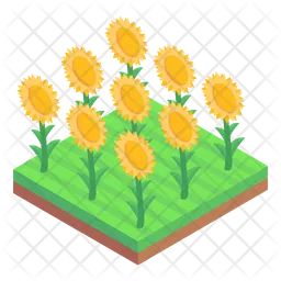 Sunflowers Garden  Icon