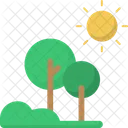 Sunny Forest Sunlight Forest Light Icon