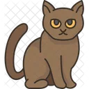Suphalak Cat  Icon