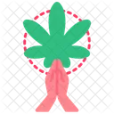 Cannabis Maconha Planta Icon