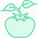Support De Plant De Tomate Laboure Jardin Icône