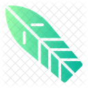 Surfboard  Icône