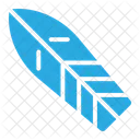 Surfboard  Icône