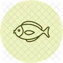 Surgeonfish Ocean Marine Icon