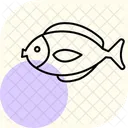 Surgeonfish Ocean Marine Icon