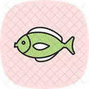 Surgeonfish Ocean Marine Icon