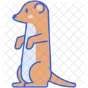 Suricata  Icono