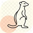 Suricate Icône