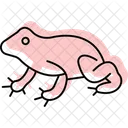 Surinam Toad Icon