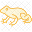 Surinam Toad Icon