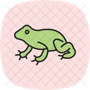 Surinam Toad Surinamtoad Amphibian Icon