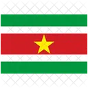 Flag Country Suriname Icon