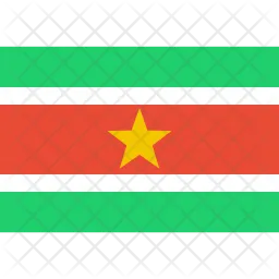 Suriname Flag Icon