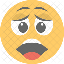 Surprised Emoticon Icon