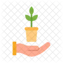 Sustainable Agriculture Plant Agriculture Icon
