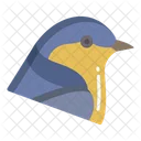 Swallow Birds Bird Icon