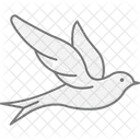 Swallow Bird Flying Icon