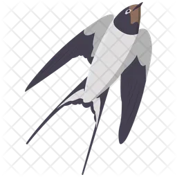 Swallow  Icon