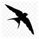 Swallow Bird Animal Icon