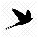 Swallow Bird Animal Icon