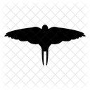 Swallow Animal Bird Icon