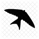 Swallow Animal Bird Icon