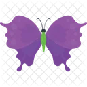 Swallowtail Butterfly  Icon