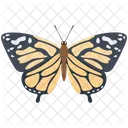 Swallowtail  Butterfly  Icon